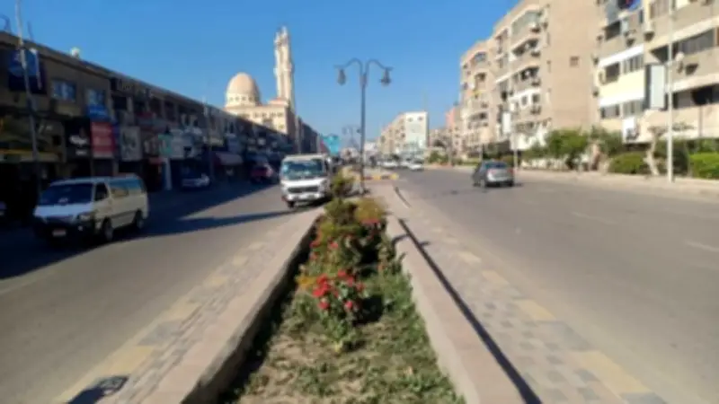 تكثيف حملات النظافة والتجميل ضمن مبادرة حلوة يا بلدي بكفر الشيخ