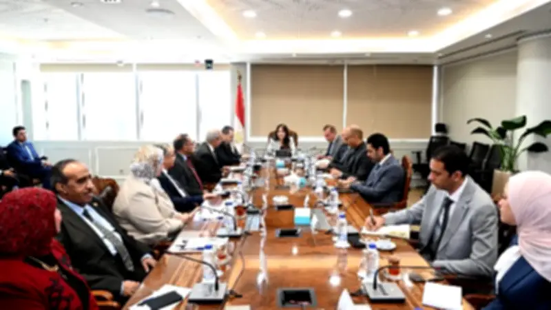 المنشاوي تتابع مع رئيس هيئة تعاونيات البناء والإسكان ملفات العمل