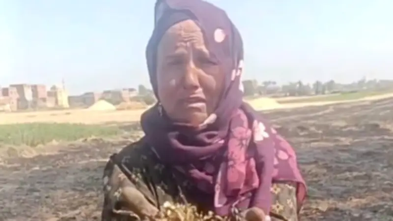 حريق يلتهم محصول القمح في النعامنة.. خسائر فادحة وشبهة جنائية