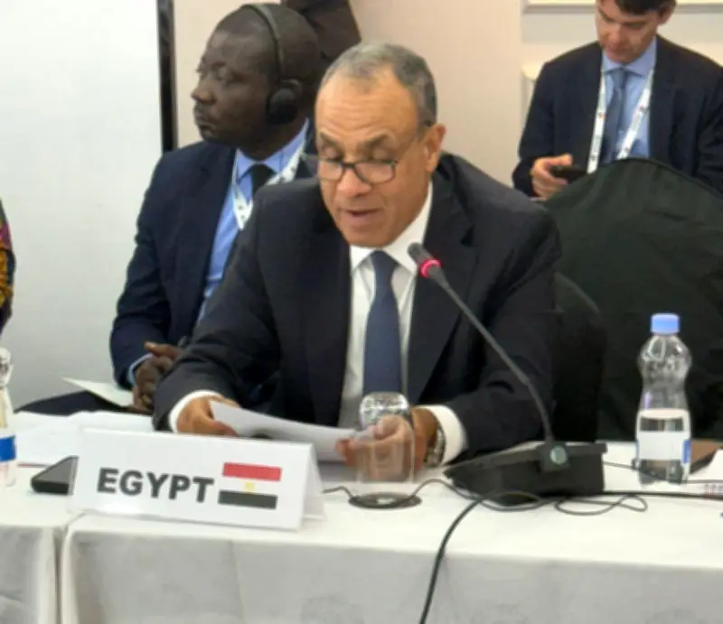 وزير الخارجية: إصلاح وتوسيع مجلس الأمن أولوية أفريقية لتصحيح هيكل الحوكمة الدولية