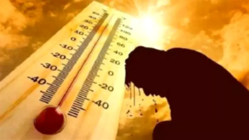 موجة لهيب تضرب مصر وتحذير عاجل من تغير المناخ للمواطنين والمزارعين