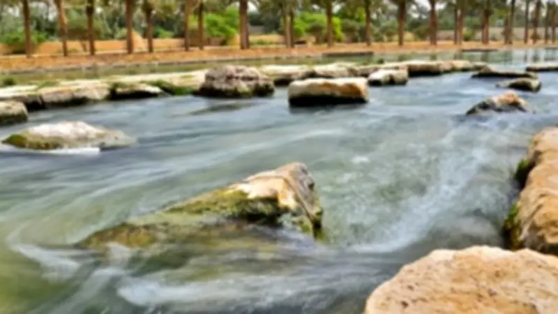 الحكومة تكشف مخاطر مشروع ملء منخفض القطارة بمياه البحر