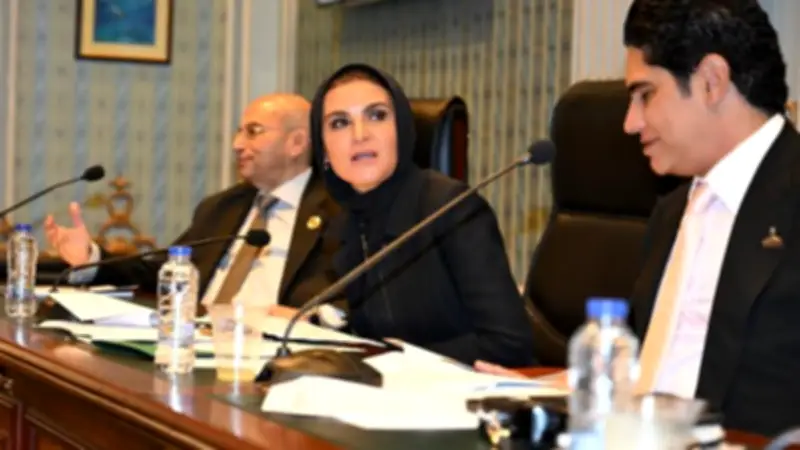 اقتصادية الشيوخ توافق على دراسة الأثر التشريعي لقانون الشركات بحضور الحكومة