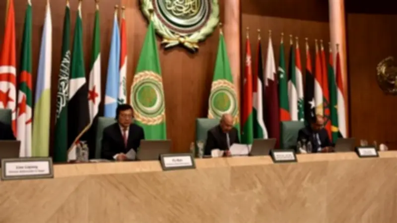 أبو الغيط: العلاقات العربية الصينية نموذج ناجح للتعاون الحضاري