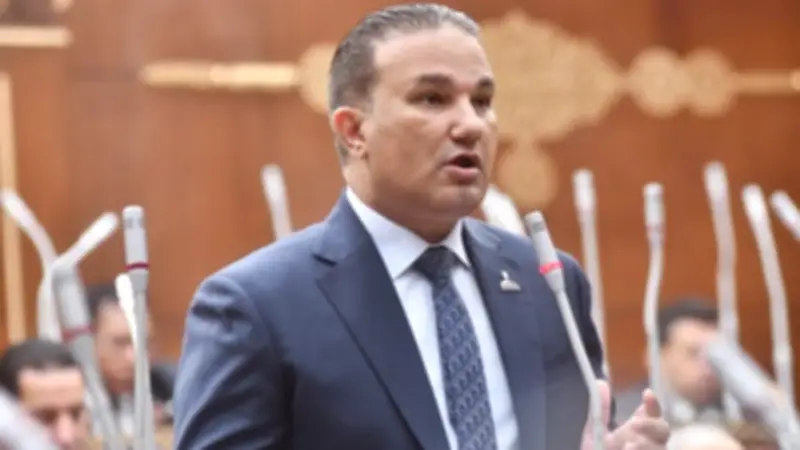 برلماني: ملف الطيران أمن قومي واقتصادي وتراجع الخدمات يحتاج وقفة حاسمة