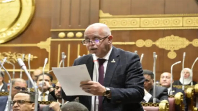 عضو بالشيوخ يطالب باستراتيجية لتطوير المطارات وتأهيل الكوادر البشرية