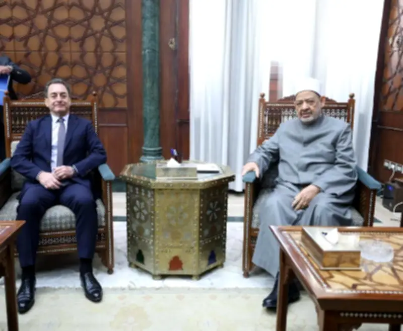 شيخ الأزهر: نشأتُ أنا وأبناء جيلي على حب اللغة الفرنسية