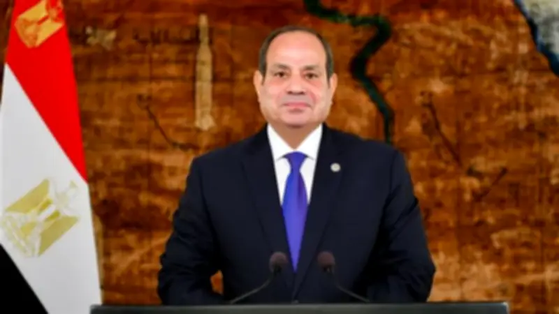 السيسي: حوافز استثمارية وتطوير بنية تحتية لجعل مصر بوابة لأفريقيا