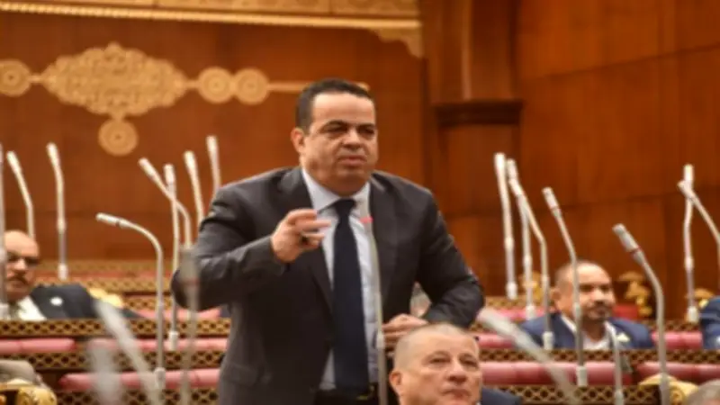 النائب عصام هلال: تطوير المطارات يحتاج لتحسين جودة التشغيل وليس المباني فقط