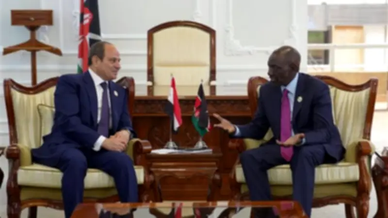 السيسي يدعو لاستثمار موارد الدول في التنمية بدلاً من النزاعات