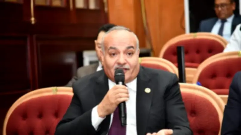 نائب يطالب بالإسراع في تنفيذ مشروعات الصرف الصحي بقرى أبو حماد