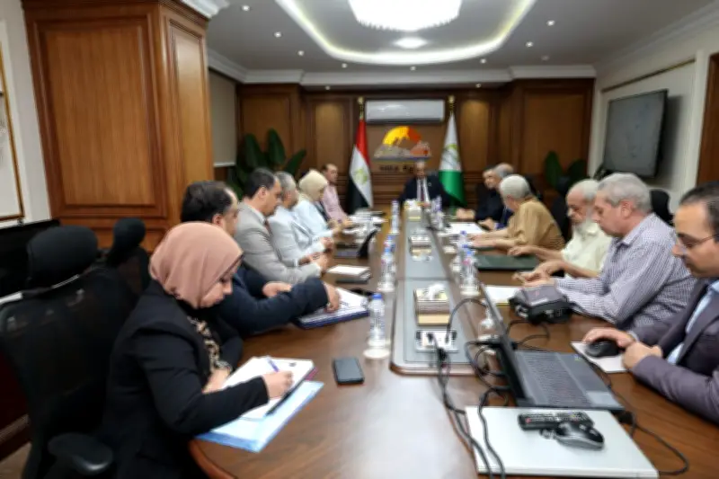محافظ الجيزة يوجه بسرعة إنجاز مشروعات البنية التحتية في كفر طهرمس وناهيا