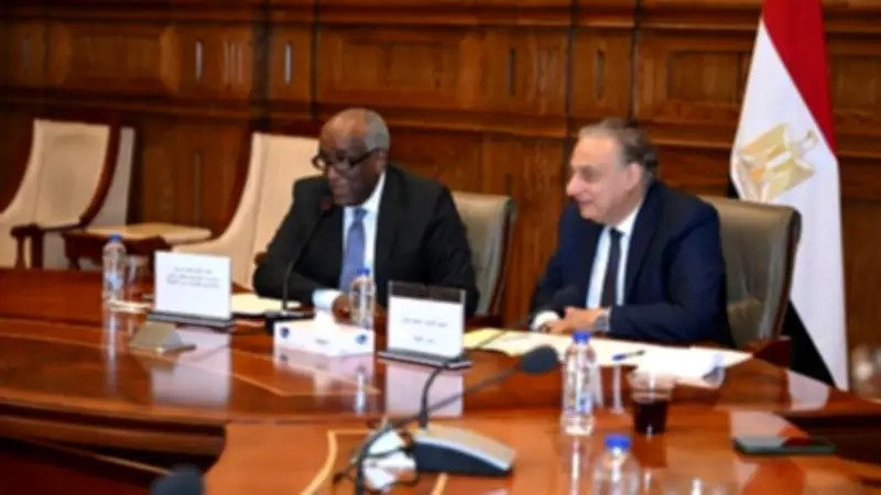 خارجية الشيوخ تناقش العلاقات المصرية الأفريقية وملفي السودان وسد النهضة