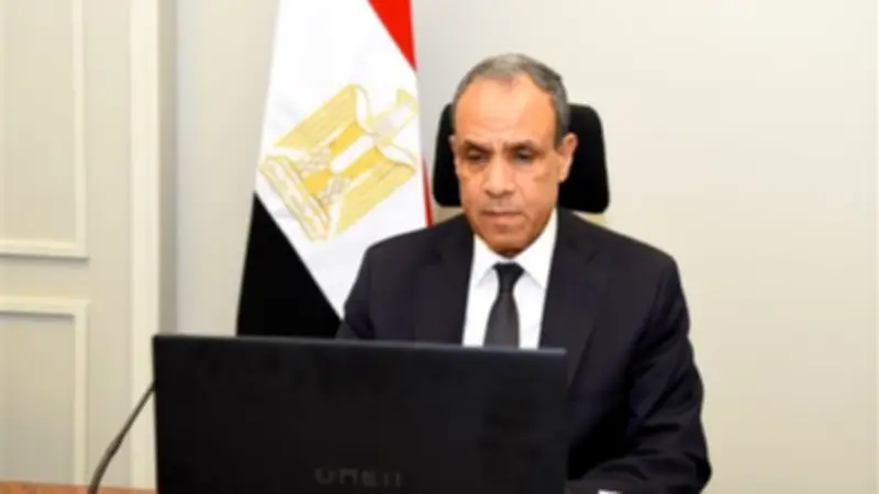 الخارجية توافق على تجديد إجازات العاملين بالكهرباء للعمل بالخارج