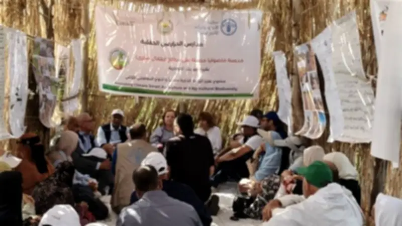 تقييم نصفى لمشروع الزراعة الذكية مناخيًا فى البحيرة بمشاركة الفاو