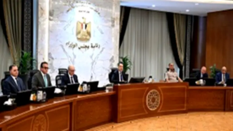 الحكومة توافق على إنشاء صندوق تكافلي لدعم الأسرة المصرية