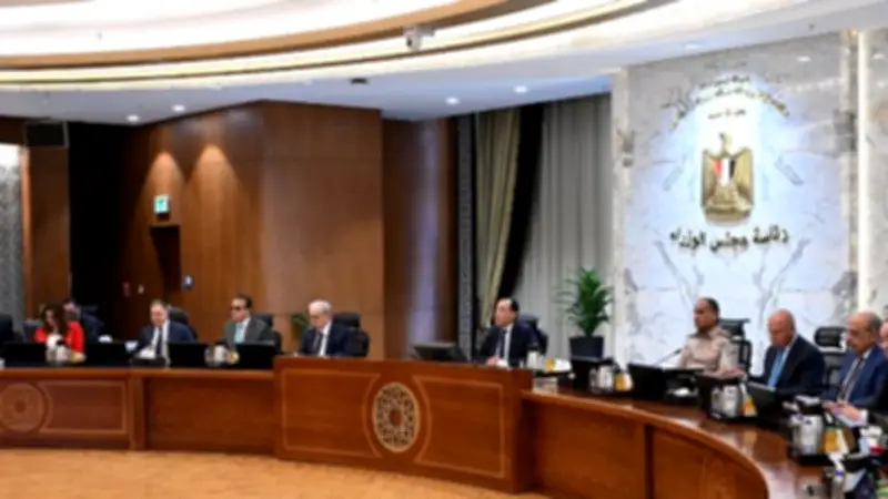مجلس الوزراء يوافق على قانون إنشاء الصندوق التكافلي لدعم الأسرة المصرية