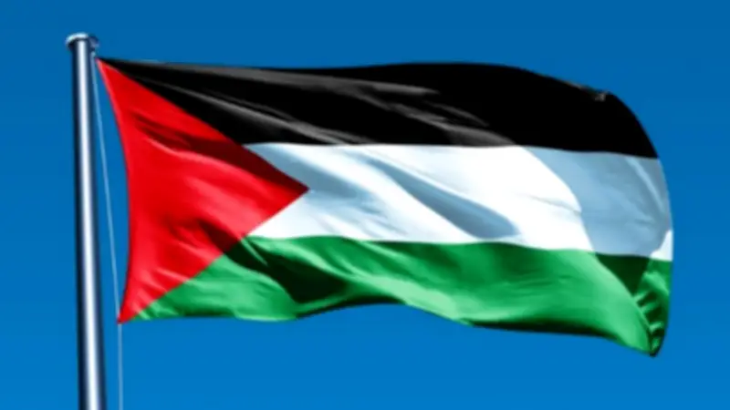 انتهاكات الاحتلال الإسرائيلي بحق المدارس الفلسطينية تهدد التعليم