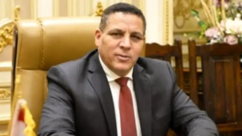 عضو بالشيوخ: كلمة الرئيس بقمة أفريقيا فرنسا تؤكد نجاح مصر في مواجهة الأزمات