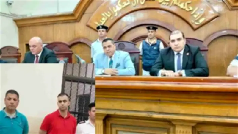 استئناف الزقازيق تحيل أوراق مالك محل أحذية قتل صديقه بملعقة إلى المفتي