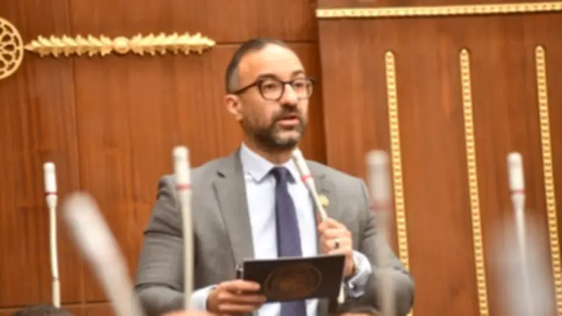 الحمامصي يشيد بإنشاء صندوق تكافلي جديد لدعم الأسرة المصرية