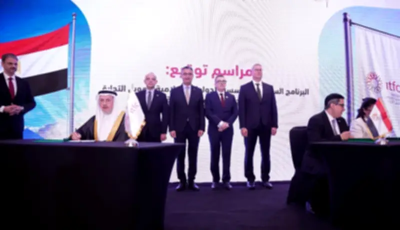 مصر تضع الأمن الغذائي وأمن الطاقة على رأس الأولويات الوطنية