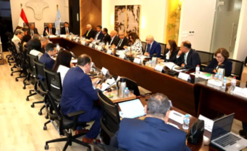 المجلس القومي لحقوق الإنسان يناقش جهود التطوير المؤسسي