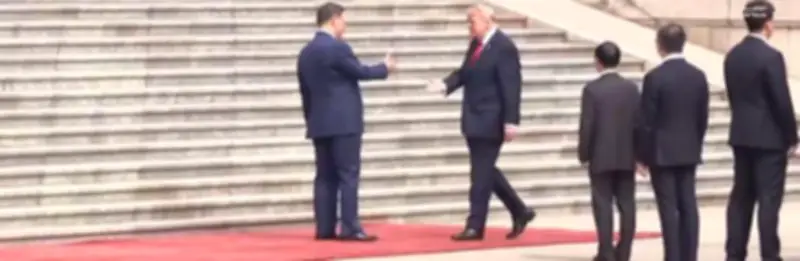 الرئيس الصيني يستقبل ترامب في قاعة الشعب الكبرى ببث مباشر