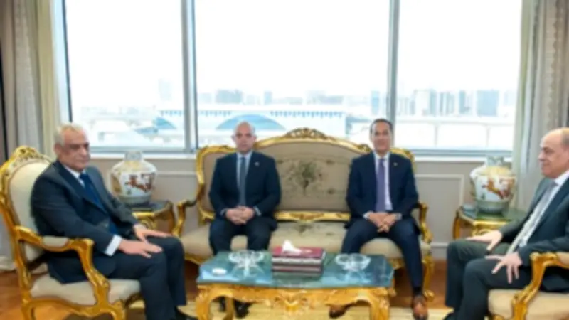 وزير الإنتاج الحربي يبحث مع وزير الاستثمار طرح أصول الشركات للاستثمار