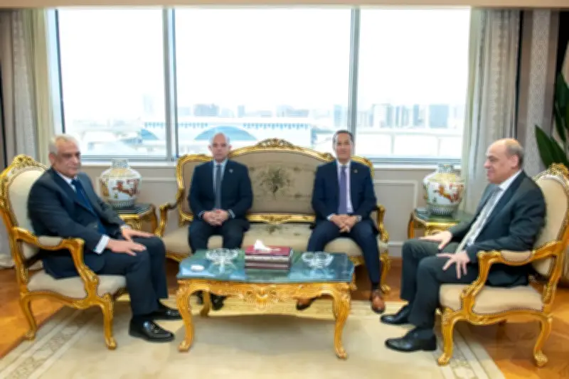 شراكة بين الإنتاج الحربي والاستثمار لتوفير الأراضي وطرحها على المستثمرين