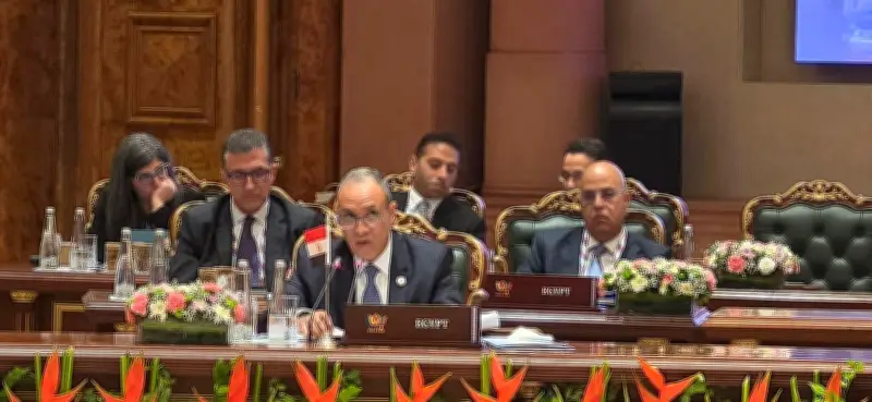 وزير الخارجية يعرض فكرة إنشاء مركز لوجستي للحبوب في شرق بورسعيد أمام البريكس