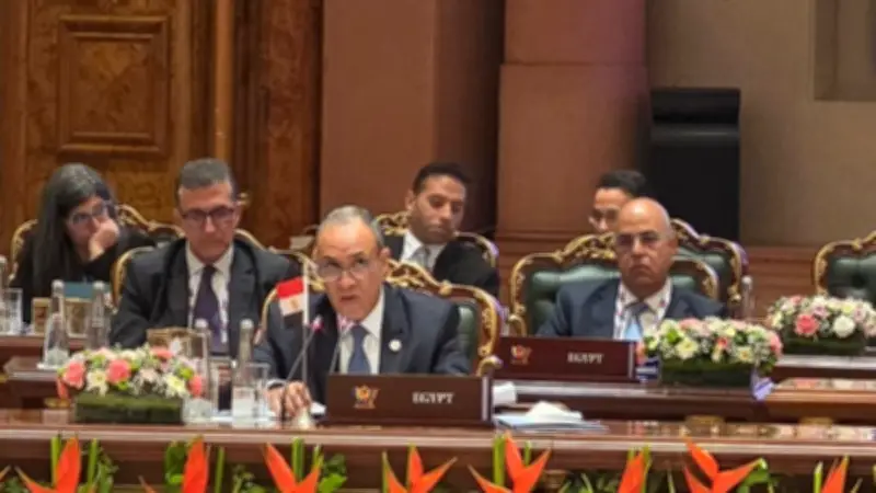 مصر تقترح مركزاً لوجستياً للحبوب في شرق بورسعيد لتعزيز الأمن الغذائي