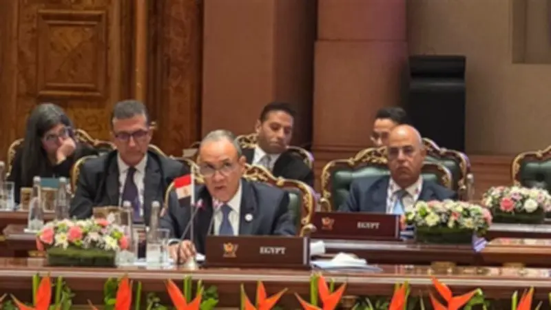 بدر عبد العاطي يشارك في اجتماع وزراء خارجية البريكس بنيودلهي