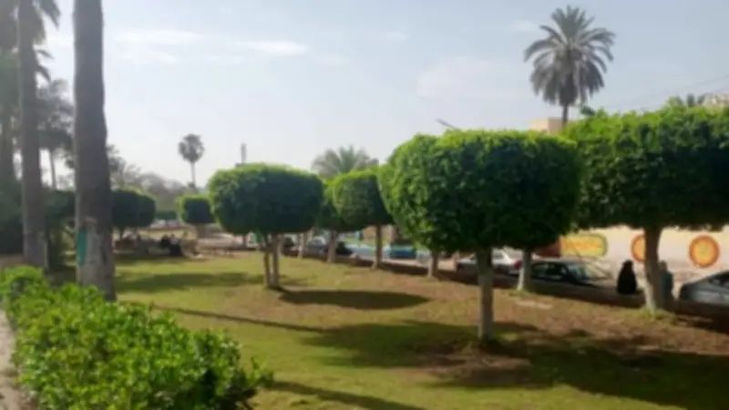 رفع كفاءة المسطحات الخضراء والنظافة في كفر الشيخ ضمن مبادرة جميلة يا بلدي