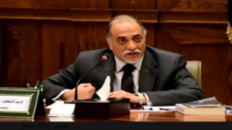 القصبي: الحضور المصري في أفريقيا ثقل سياسي ودور مؤثر