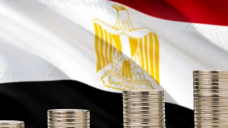 أحمد زكي يدعو لاستغلال الأصول غير المستغلة لتعزيز الإيرادات والتصدير