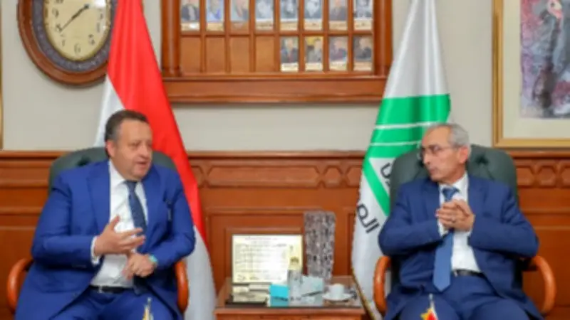 مصر والأردن تبحثان تنسيق الجهود الهندسية لإعمار غزة