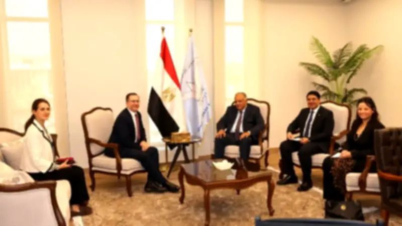 مصر وبريطانيا تبحثان تعزيز التعاون الحقوقي وتبادل الخبرات الدولية