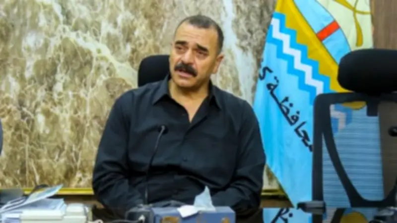كفر الشيخ تنشئ شلاتر إيواء للكلاب الحرة لمواجهة الظاهرة