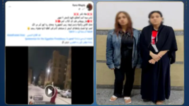حرب الكلاب في أكتوبر.. كيف تحول إطعام الحيوانات إلى محضر شرطة؟