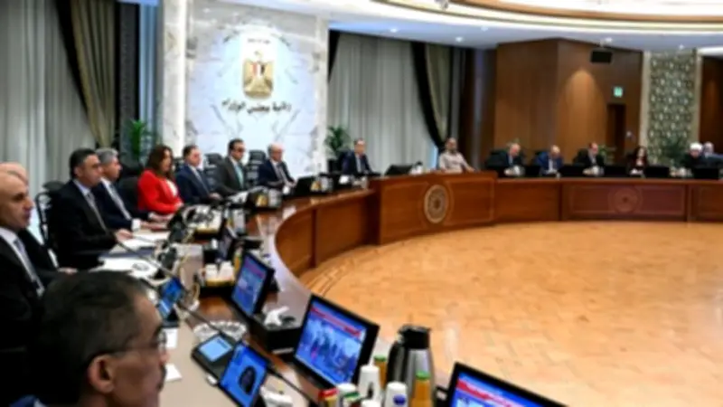 الحكومة تطلق خطة وطنية لدعم ريادة الأعمال وتشكيل أمانة فنية قريبًا