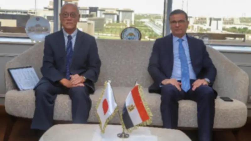 مصر تسعى لتعزيز صادراتها الزراعية لليابان بعد نجاح الفراولة المجمدة