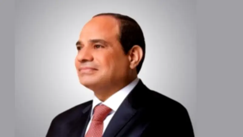السيسي: حماية الجبهة الداخلية وبناء جسور التنمية الإفريقية ركيزتا الاستقرار