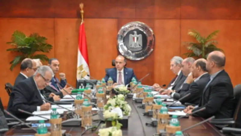 محمد فريد: الدولة تمضي بخطى ثابتة لتكريس بيئة استثمارية جاذبة وتحفيز القطاع الخاص