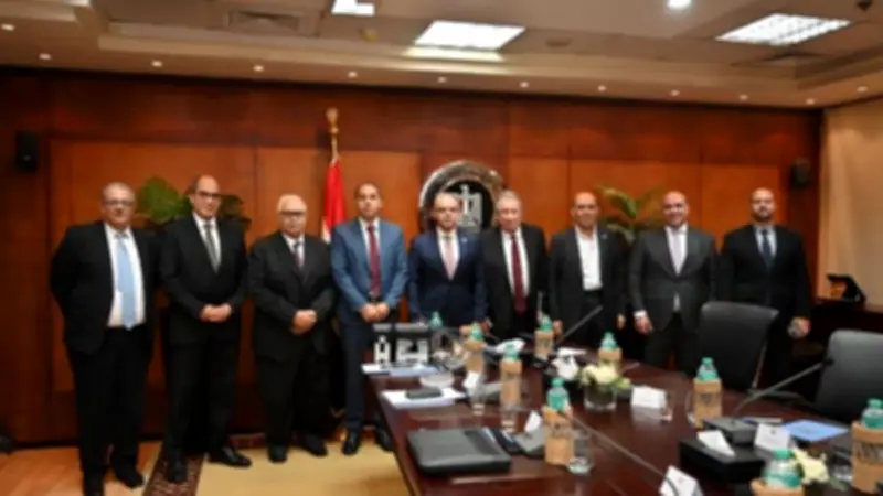 إعادة تشكيل اللجنة الدائمة لمعايير المحاسبة والمراجعة برئاسة وزير الاستثمار
