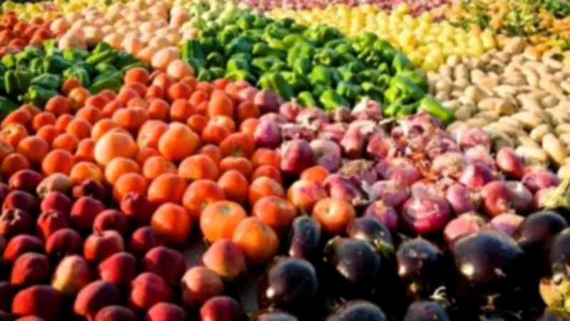 كيف ساهم فتح أسواق جديدة في زيادة صادرات مصر الزراعية؟