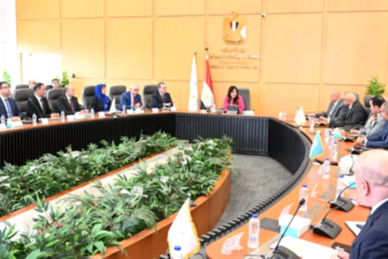 وزيرة الإسكان: كفاءة النظافة والزراعة والصيانة أولوية في المدن الجديدة