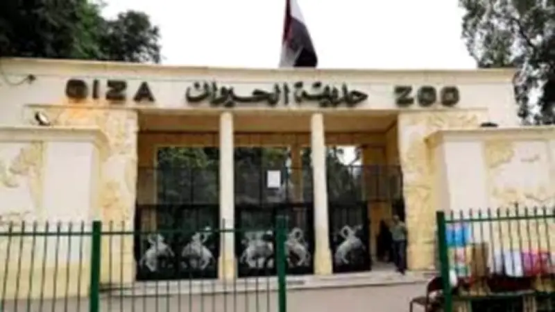 موعد افتتاح حديقة الحيوان بالجيزة بعد التطوير.. هل سيكون قبل عيد الأضحى؟