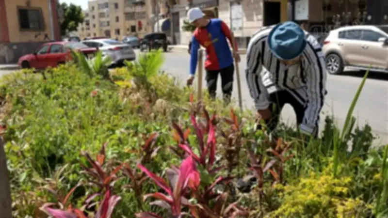 محافظ بورسعيد يتفقد أعمال التشجير والتجميل في أحياء المحافظة