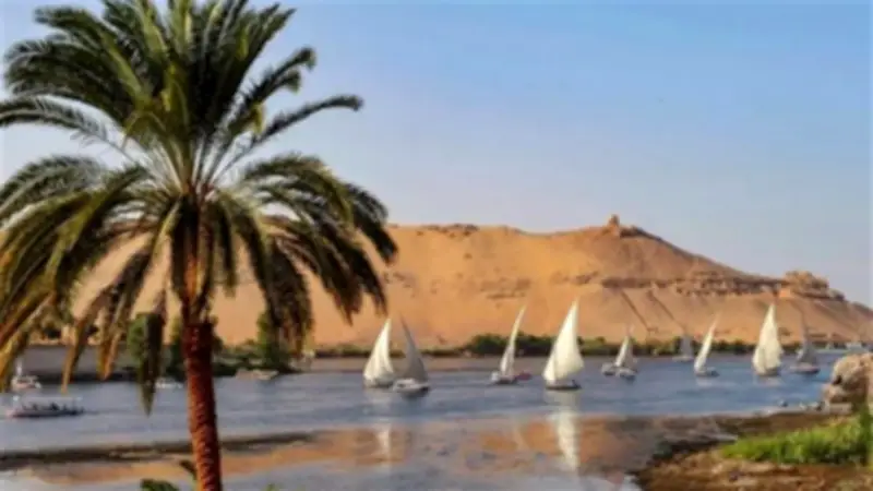 رئيس بعثة الري في أوغندا: مصر تتابع مناسيب نهر النيل بدقة
